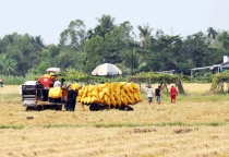 2.000 câu hỏi của nông dân với Thủ tướng