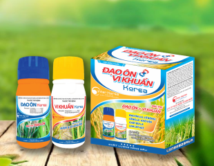 Cặp đôi ĐẠO ÔN VI KHUẨN Korea