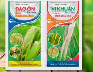 CẶP GÓI ĐẠO ÔN và VI KHUẨN