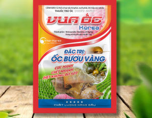 VUA ỐC KOREA 