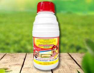 Siêu Sâu Rệp 888