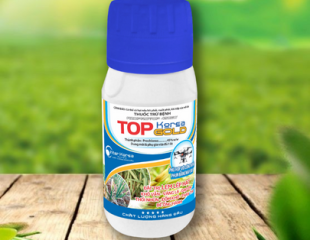 Azoprotop 450EW-240ML