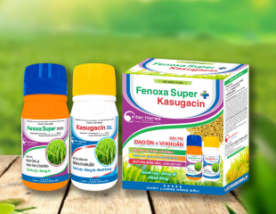Cặp Fenoxasuper + Kasugacin