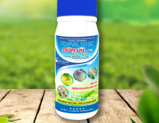 TOP VIL 111SC SỮA VIL 250