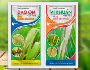 Cặp đôi gói Đạo ôn+Vi khuẩn