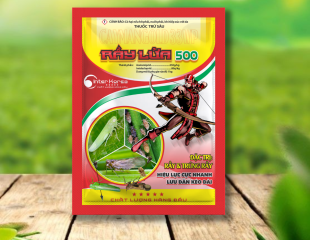 Rầy Lửa 500