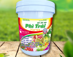 PHÌ TRÁI 20-30-40