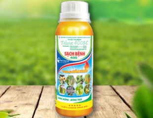 Tebaz 400SC Sạch bệnh