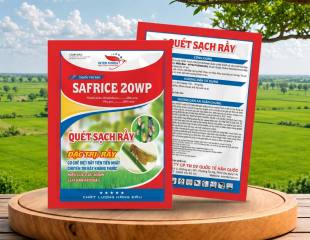 SAFRICE 20WP