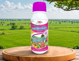 PESTICIDE NB CANXIBO KẼM