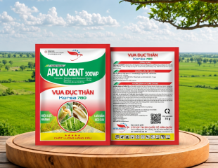 APLOUGENT 500WP (VUA ĐỤC THÂN Korea 780)