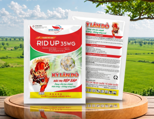 RID UP 35WG(1)