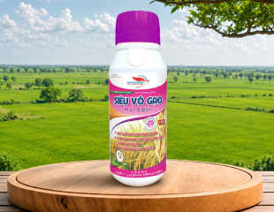 SIÊU VÔ GẠO