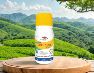 Abita Gold 400SC – Gold Star Nano