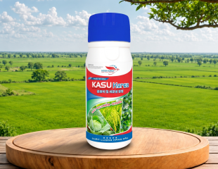 KAGOMI 3SL (1)