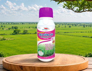 SIÊU CỨNG CÂY