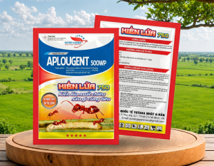 APLOUGENT 500WP (KIẾN LỬA 750)