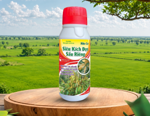 SIÊU KÍCH ĐỌT SẦU GIÊNG