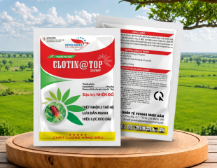 CLOTIN@TOP 250WP