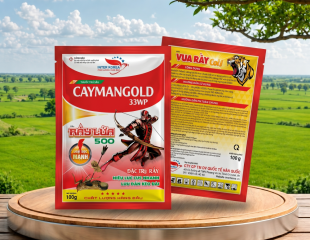 CAYMANGOLD 33WP