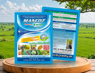 MANCOZ Korea Xanh