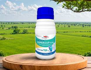 SUPER CUP 151SC