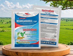 HOANGANHBUL 72WP