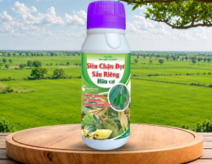 SIÊU CHẶN ĐỌT SẦU GIÊNG 