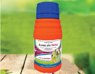 Đạo ôn Avaszin 260SC - 240ml