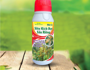 SIÊU KÍCH ĐỌT SẦU GIÊNG