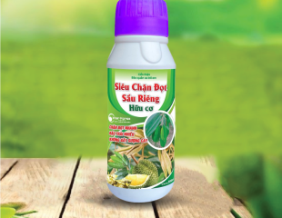 SIÊU CHẶN ĐỌT SẦU GIÊNG 