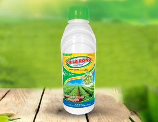 Metit top 250SL Cỏ Lá Rộng