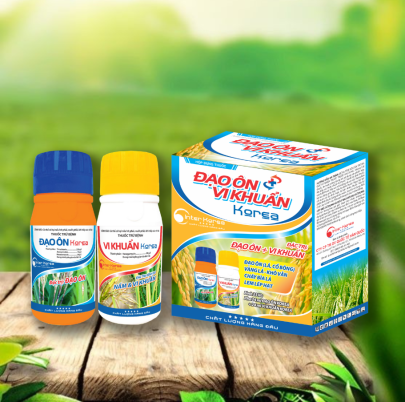 Cặp đôi ĐẠO ÔN VI KHUẨN Korea