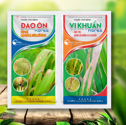 CẶP GÓI ĐẠO ÔN và VI KHUẨN