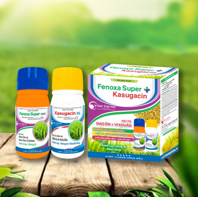 Cặp Fenoxasuper + Kasugacin