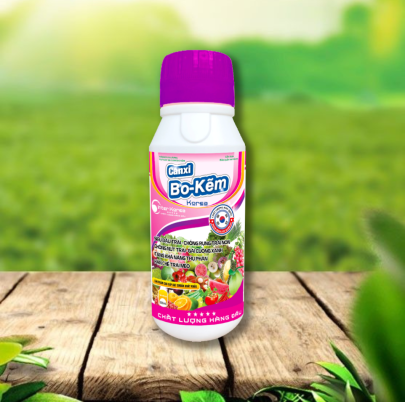 CANXI BO-KẼM