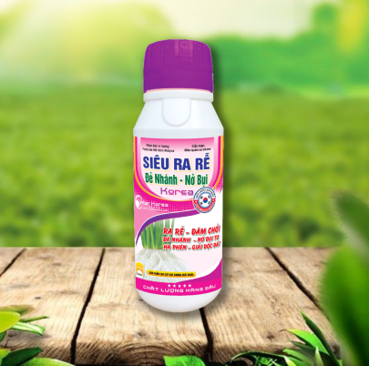 SIÊU RA RỄ ĐẺ NHÁNH - NỞ BỤI