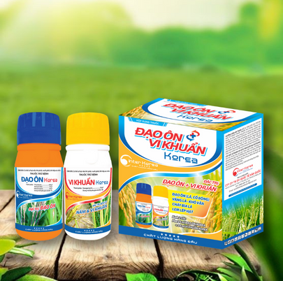 Cặp Avaszin + Kasugacin (Đạo ôn vi khuẩn)