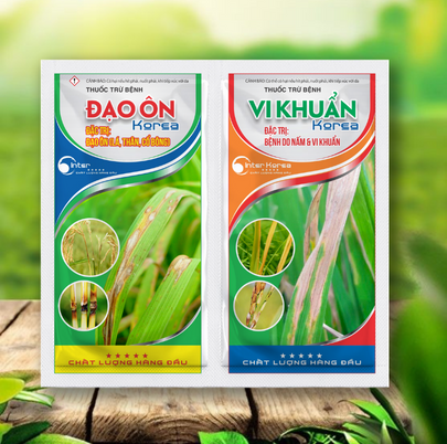 Cặp đôi gói Đạo ôn+Vi khuẩn