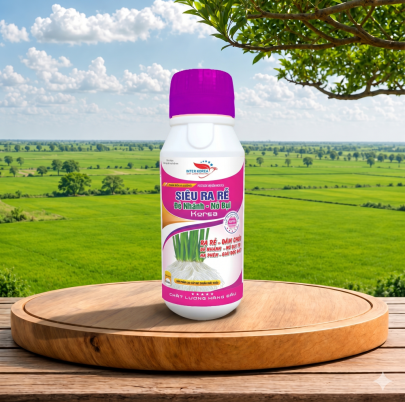 SIÊU RA RỄ ĐẺ NHÁNH - NỞ BỤI