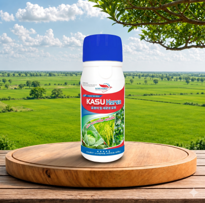 KAGOMI 3SL (1)