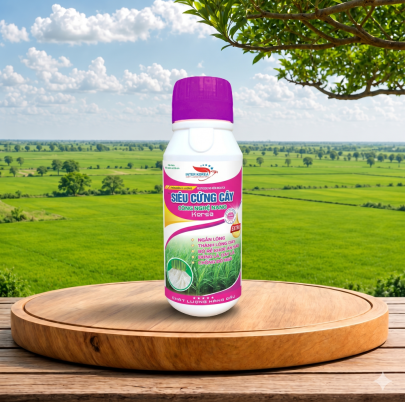 SIÊU CỨNG CÂY