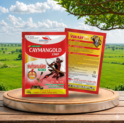 CAYMANGOLD 33WP