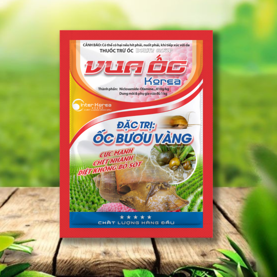 VUA ỐC KOREA 