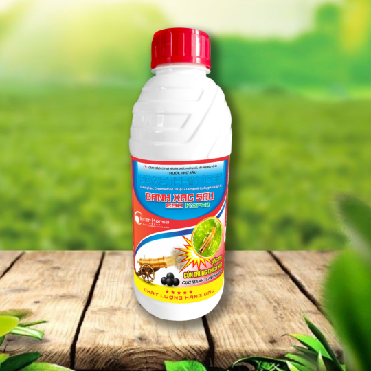 BANH XAC SAI