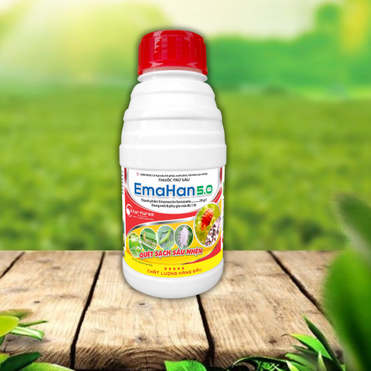 EmaHan 5.0