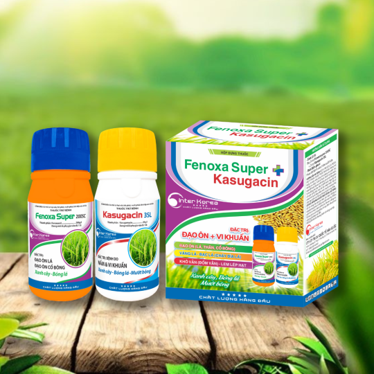Cặp Fenoxasuper + Kasugacin