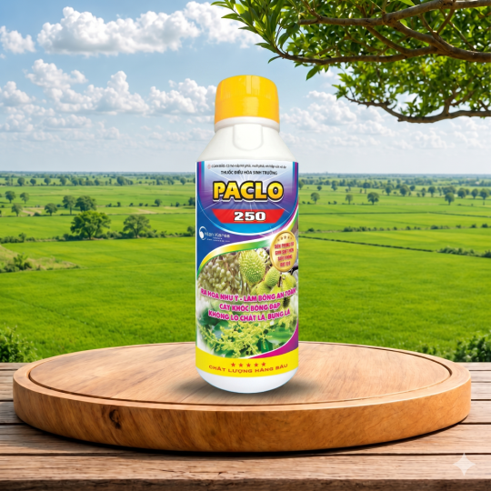 ACHACHA 250SC