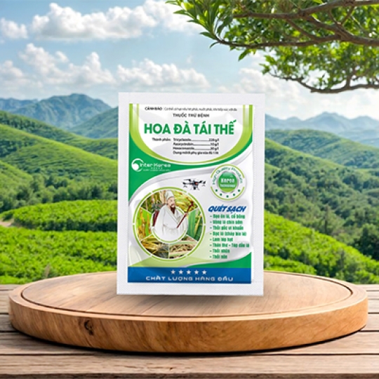 hoa đà tái 