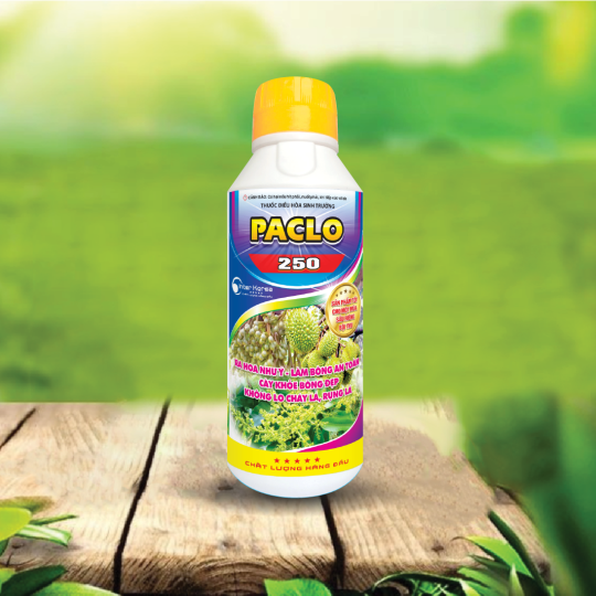 ACHACHA 250CS